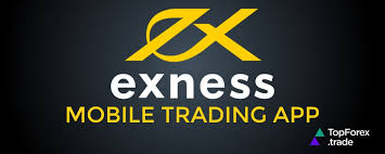 Exness For Trading Maximizing Your Forex Potential Exness For Trading Maximizing Your Forex Potential
